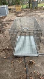 Honden bench, Dieren en Toebehoren, Ophalen, Gebruikt