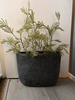 Brynxz pot 45x15x39, Ophalen of Verzenden, Gebruikt, Rond, Minder dan 60 cm