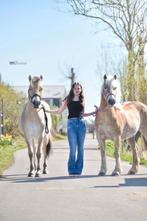 Bijrijder(s) gezocht voor 2 lieve pony’s, Dieren en Toebehoren, Ophalen, Nieuw