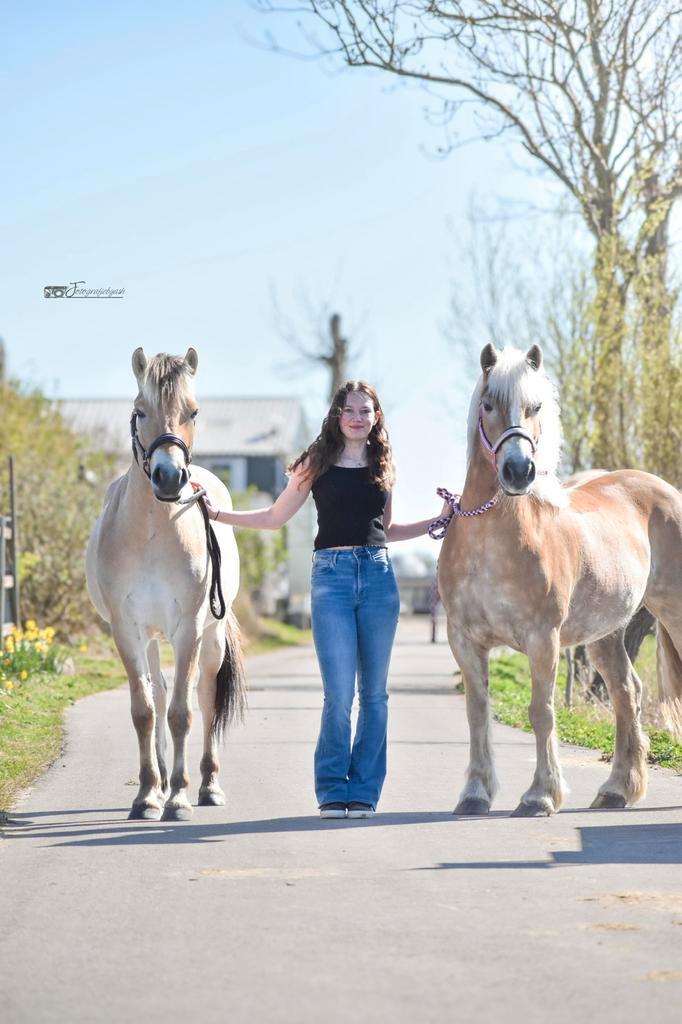 Bijrijder(s) gezocht voor 2 lieve pony’s, Dieren en Toebehoren, Paarden en Pony's | Verzorgingsproducten, Nieuw, Ophalen