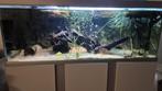 Akvastabil fusion 160, Ophalen, Zo goed als nieuw, Leeg aquarium