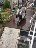 Sym mio brom geel kenteken, Gebruikt, Maximaal 45 km/u, Benzine, 50 cc