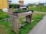 pootgoed moestuin, eenjarige bloemen, plantjes, Tuin en Terras, Ophalen, Volle zon, Groenteplanten, Eenjarig