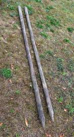 (weide)palen - ongebruikt - 3 meter, Tuin en Terras, Ophalen, Nieuw, 250 cm of meer, Palen
