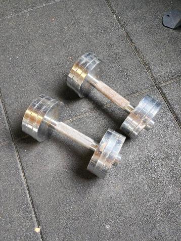 10 kg dumbells  beschikbaar voor biedingen