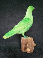 Een prachtige opgezette groene duif!, Verzamelen, Dierenverzamelingen, Ophalen of Verzenden, Nieuw, Vogel, Opgezet dier