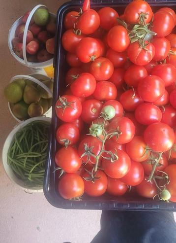 Bio groenten €2 kilo beschikbaar voor biedingen