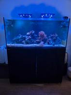 Red Sea Reefer 425 te koop aangeboden, Dieren en Toebehoren, Ophalen, Zo goed als nieuw