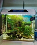 Nobleza Aquarium, Dieren en Toebehoren, Vissen | Aquaria en Toebehoren, Ophalen, Gebruikt, Gevuld zoetwateraquarium