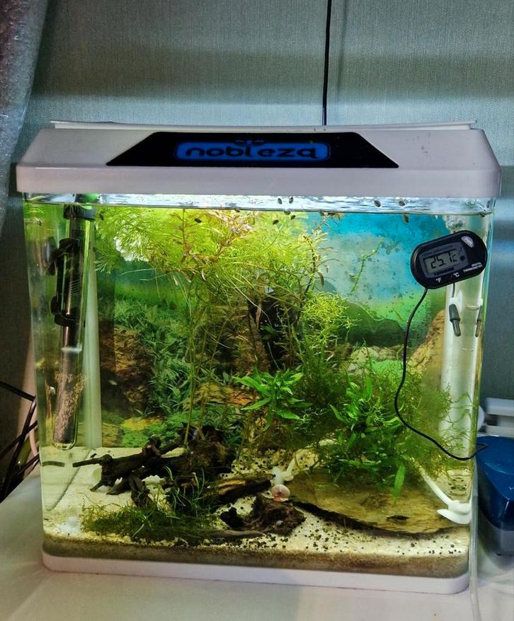 Nobleza Aquarium, Dieren en Toebehoren, Vissen | Aquaria en Toebehoren, Gebruikt, Gevuld zoetwateraquarium, Ophalen