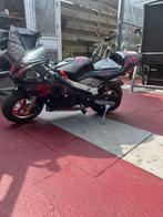 Nieuwe pitbike 49 cc, Ophalen, Pitbike