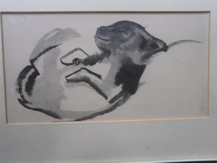 Johanna Bottema, Prent ve Jong Hondje (pup) gebr Glas, Verzamelen, Foto's en Prenten, Gebruikt, Overige onderwerpen, 1960 tot 1980