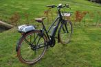 Riese und Muller Cruise Mixte beltdrive 500 wh accu (nieuw), 51 tot 55 cm, Nieuw, Riese & Müller