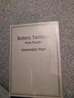 Brehms Tierbilder - Vogels, 1914, Ophalen of Verzenden, Gelezen, Vogels, W. Kuhnert, W. Heubach, Ch. Kröner, O. Mattel