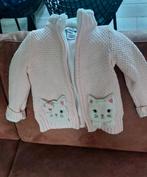Zeer mooi  herfst/winter vest meisje mt 98., Ophalen, Zo goed als nieuw, Meisje, Truitje of Vestje