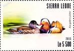 2015 Sierra Leone Fauna Watervogels , Ophalen of Verzenden, Postfris, Dier of Natuur