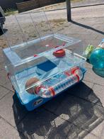 Hamster kooi, Dieren en Toebehoren, Minder dan 60 cm, Kooi, Minder dan 75 cm, Ophalen of Verzenden