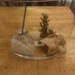 Vissenkom met enkele toebehoren, Ophalen