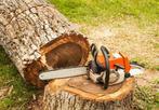 Bomen rooien, bomen kappen, Boomverzorging