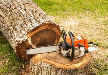 Bomen rooien, bomen kappen, Boomverzorging  beschikbaar voor biedingen