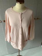 Lichtroze vest van Blanche maat XXL, Ophalen of Verzenden, Zo goed als nieuw, Maat 46/48 (XL) of groter, Roze