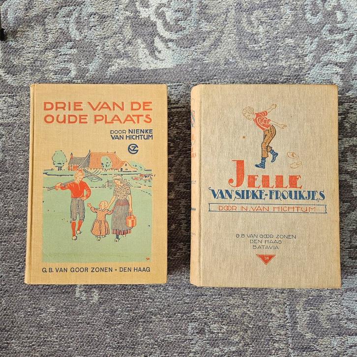 Nienke van Hichtum - Friesland boeken, Boeken, Streekboeken en Streekromans, Gelezen, Friesland, Ophalen of Verzenden