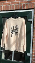 Nieuwe sweater 4xl, Beige, Maat 46/48 (XL) of groter, Ophalen of Verzenden, Zo goed als nieuw