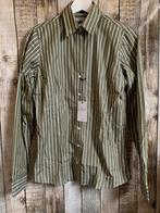 Nieuw mooi groen/witte blouse van Steppin Out (Maat M/L), Verzenden, Nieuw, Groen, Steppin Out