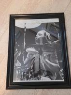 Status Quo: Gesigneerde Foto Drummer John Coghlan in Lijst, Verzamelen, Ophalen, Foto of Kaart, Gesigneerd