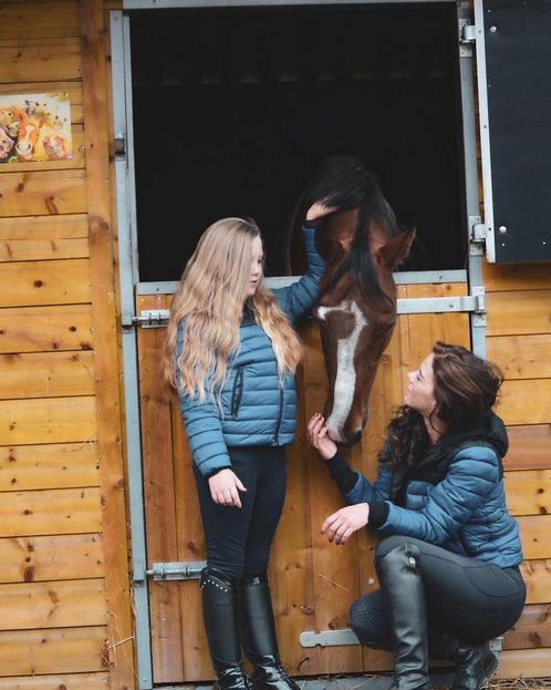 PONY's: training, zadelmak, bemiddeling, in-verkoop, Dieren en Toebehoren, Paarden en Pony's | Overige Paardenspullen, Ophalen of Verzenden