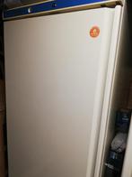 Grote horeca koelkast en vrieskast, Witgoed en Apparatuur, Vriezers en Diepvrieskisten, 60 tot 90 cm, Vrijstaand, Gebruikt, 160 cm of meer