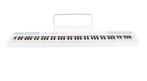 Fazley FSP-200 keyboard wit, Ophalen of Verzenden, Zo goed als nieuw, Met standaard, 49 toetsen