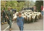 963887	Drenthe	Schaapskudde Herder	Mooie Oude kaart onbeschr, Ophalen of Verzenden, Ongelopen, Drenthe