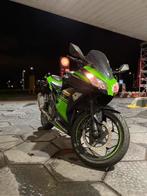 Kawasaki ninja 300 2016, Motoren, Motoren | Kawasaki, 2 cilinders, 300 cc, Minimaal motorrijbewijs A2, ABS