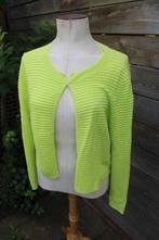 Vest lime Caroline Biss mt 40 Vaste prijs, Kleding | Dames, Truien en Vesten, Maat 38/40 (M), Ophalen of Verzenden, Zo goed als nieuw