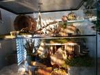 Veelzijdig Terrarium voor Knaagdieren – Gerbil, Hamster, Rat, Minder dan 60 cm, Ophalen of Verzenden, Hamster, Hok