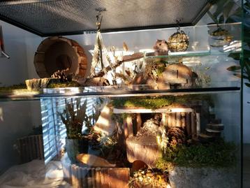 Veelzijdig Terrarium voor Knaagdieren – Gerbil, Hamster, Rat beschikbaar voor biedingen