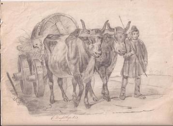 G. Dresselhuijs. Karbouwen. Potloodtekening 1863 beschikbaar voor biedingen