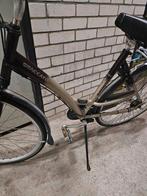 Damesfiets. frame 53 cm. Batavus Staccato, 51 tot 55 cm, Ophalen