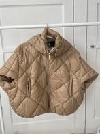 Nieuw: Deblon bodywarmer maat S/M, Ophalen of Verzenden, Nieuw, Maat 38/40 (M), Beige