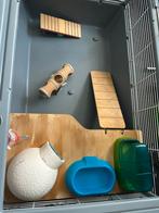 Hamsterhok, Ophalen, Gebruikt, 60 tot 90 cm, Hamster