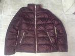 Bonita winterjas maat 36/38, Kleding | Dames, Jassen | Winter, Paars, Bonita, Ophalen of Verzenden, Zo goed als nieuw