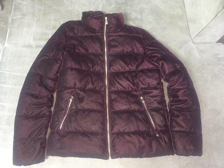Bonita winterjas maat 36/38, Kleding | Dames, Jassen | Winter, Zo goed als nieuw, Maat 36 (S), Paars, Ophalen of Verzenden