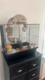 Complete hamsterkooi, Dieren en Toebehoren, Knaagdieren en Konijnen | Hokken en Kooien, Kooi, Gebruikt, Minder dan 75 cm, Hamster