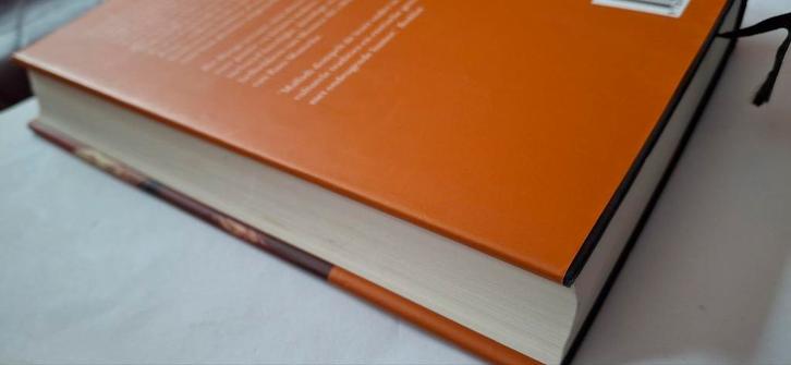 Het Mango Seizoen - Amulya Malladi, Boeken, Romans, Gelezen, Nederland, Ophalen of Verzenden