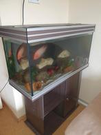 Hierbij mijn aquarium te koop met pomp en alle toebehorende, Ophalen, Gebruikt, Gevuld zoetwateraquarium