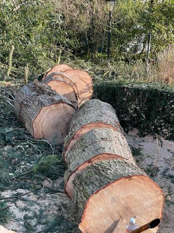 Den hout kachelhout brandhout stookhout naaldboom spar hout beschikbaar voor biedingen