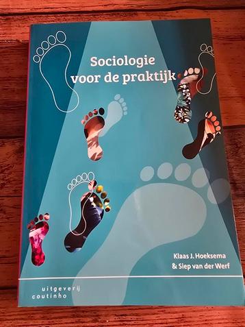 Siep van der Werf - Sociologie voor de praktijk beschikbaar voor biedingen