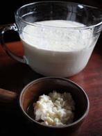 🥛🍀Melk kefir korrels biologisch 🥛🍀, Diversen, Levensmiddelen, Ophalen of Verzenden