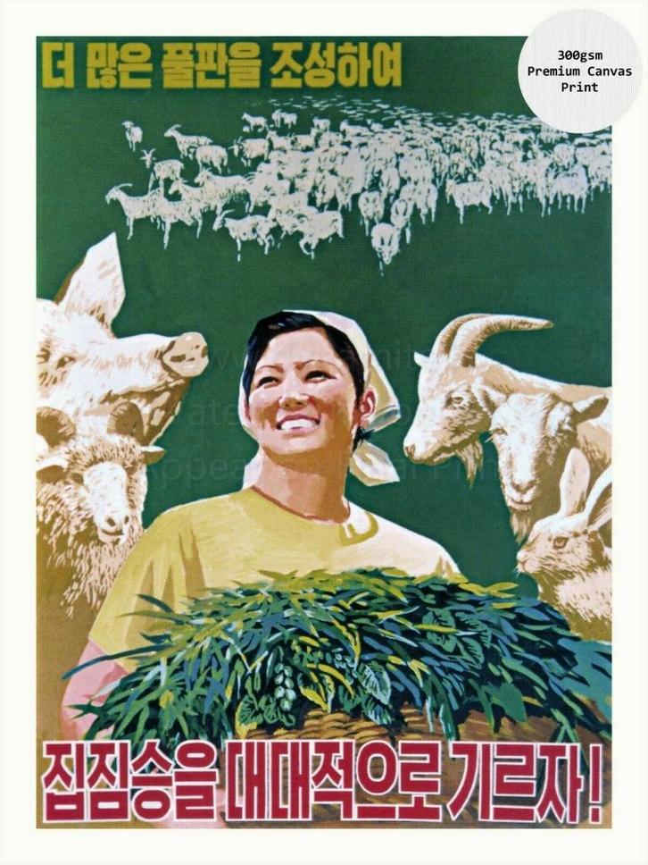 Noord-Korea Propaganda Art Canvas Nieuw-4- Gratis Sticker, Antiek en Kunst, Kunst | Litho's en Zeefdrukken, Verzenden